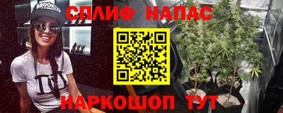 ГАЛЛЮЦИНОГЕННЫЕ ГРИБЫ Пугачёв