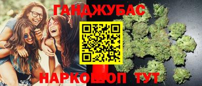 ГАЛЛЮЦИНОГЕННЫЕ ГРИБЫ Пугачёв