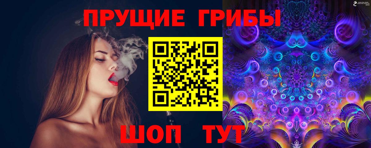 Псилоцибиновые грибы Cubensis Сургут
